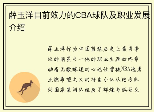 薛玉洋目前效力的CBA球队及职业发展介绍